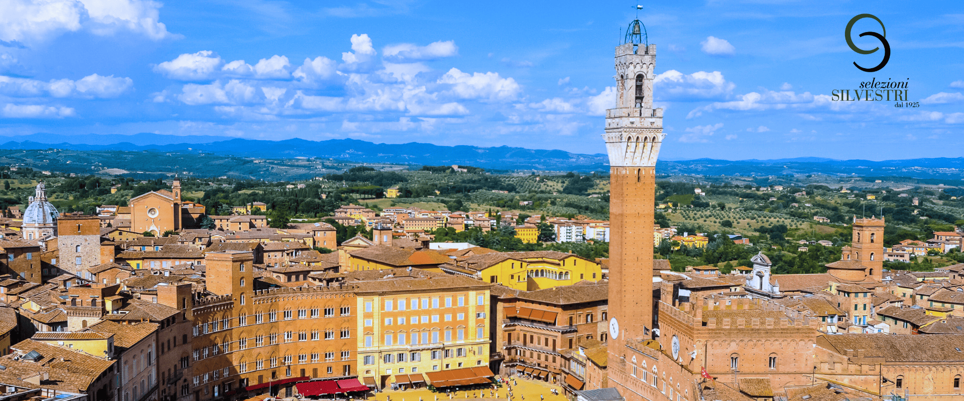 piazza del campo siena